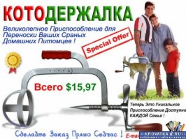 Переноска для котов!