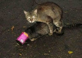 Что-то сразу вспомнилась классика жанра про "пользуйся моментом"