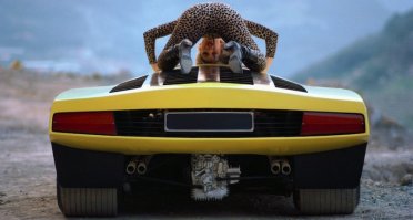 А ничё такая выхлопная труба!