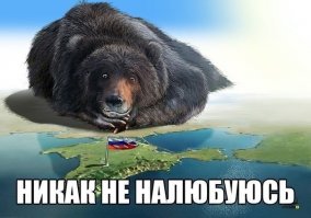 Российский «Артек»: инструкция и пособие по возрождению из разрухи
