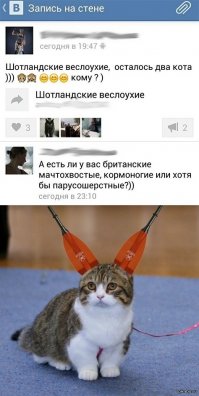 порвало это