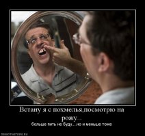 Муравьи способны узнавать себя в зеркале