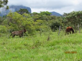 да, от Палмейраса до Вале ду Капао 20км грунтовки убитой, с промоинами, ямами и колдобинами, темнеет рано, в этом тазу арендованном свет вообще никакой, изматерился пока доехал. Но оно того стоило.