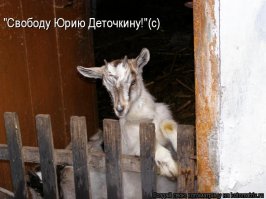 Учительницу лишили доступа в интернет за секс с 16-летним учеником в квартире ее жениха