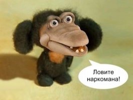 Человек-тигр носился по лесу голым: его зафиксировала скрытая камера