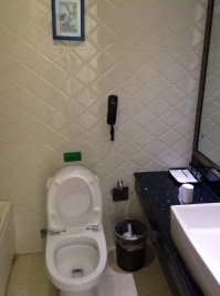 Это прекрасно-любоваться парком. А вот, будучи в Китае, у себя в номере обнаружил туалет с телефоном!!! Кто-нибудь знает, для чего он там?