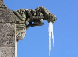 Что шведу хорошо, то немцу смерть: как немцы пробовали сюрстрёмминг