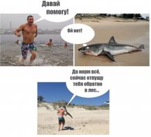 Эта змея проглотила дверную ручку, приняв её за яйцо