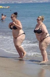 Тысячи странных существ вышли на пляж в Калифорнии