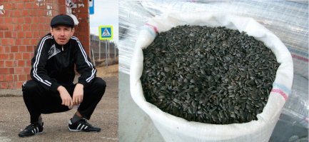 Диеты со всего света