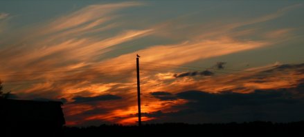 Я этим лето был на севере, тоже сфотографировал закат, но не заметил птицу на столбе, только когда в компе просматривал, то увидел)