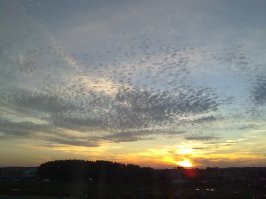 Да тут много любителей сфоткать закат))). Я тоже.