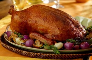 Вот самая красивая для меня утка. И пофиг на породу)