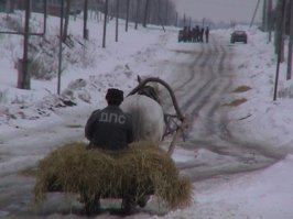 Свежая подборка автоприколов