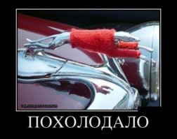 Свежая подборка автоприколов