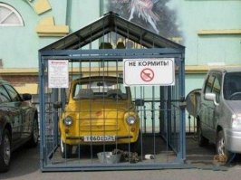 Свежая подборка автоприколов