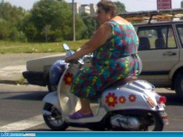 Свежая подборка автоприколов