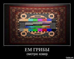 Фотограф сумела создать целый мир красок в одной комнате