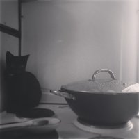 Наш не от мира сего Михаил :) Очень интересный и забываний котофей :)