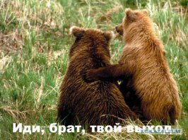 тут же писали что ей секас ненужен а она вон какая... миша твой выход