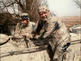 Яндекс против Кремля. Система «Шиповник»