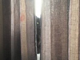 18 непревзойденных шпионов, которым самое место в ЦРУ
