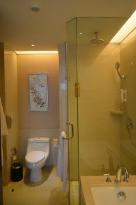 А это уже в самом городе Tonglu, China, на улице и отеле 5 звёзд. Всё стильно и удобно.