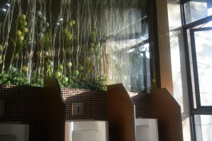 Туалет на заводе!!!! ZEFU в окрестностях города Tonglu, на первом этаже, стёкла до полу. Отдача экскрементов с эстетическим удовольствие. Ни молекулы мочи в воздухе, просто чистота. 

Можно одним словом сказать - загляденье!