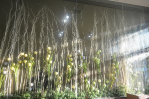 Туалет на заводе!!!! ZEFU в окрестностях города Tonglu, на первом этаже, стёкла до полу. Отдача экскрементов с эстетическим удовольствие. Ни молекулы мочи в воздухе, просто чистота. 

Можно одним словом сказать - загляденье!