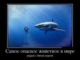 Альтернатива о главном!