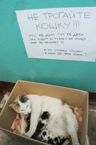 Подборка приколов с просторов интернета