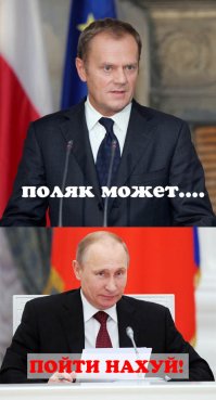 Поляк действительно может