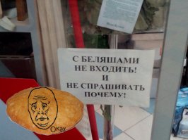 Фотоподборка за 08.12.2016