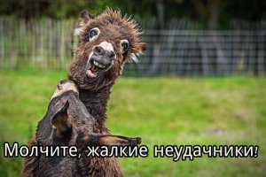 11 фотографий диких зверей, которые вызовут у вас смешанные чувства - от веселья до страха