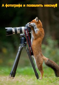 11 фотографий диких зверей, которые вызовут у вас смешанные чувства - от веселья до страха