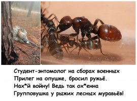 Солдат спит - служба идёт: юный солдат уснул в лесу во время курса боевой подготовки 