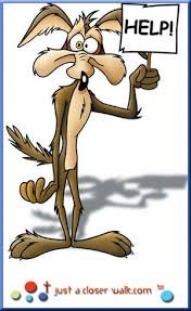 Сбитый машиной койот не переставал улыбаться спасателям