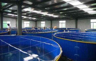 Типичные рыбоводные бассейны