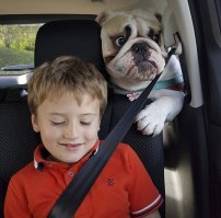 Миссия провалена, или Что-то пошло не так