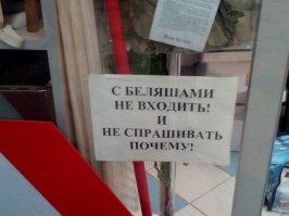чё чё