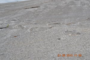 Следы динозавров. Фотографировал сам.
