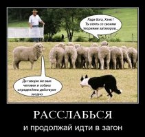 Теории заговора, оказавшиеся правдой