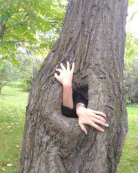 Голосом Дроздова
"А сейчас мы наблюдаем за очень интересным и важным событием в жизни любого дерева- рождением бревна."