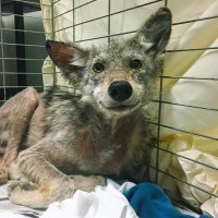 У меня такое же выражение лица, когда сажусь обедать...