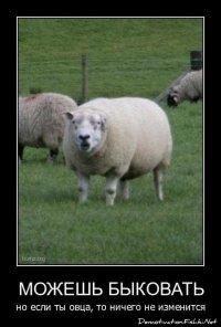 Научил торопыгу на Порше