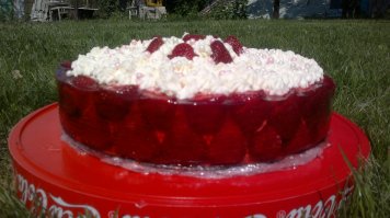 Не претендую на звание шедевра. Торт делала на др племянника. Вкус все таки должен стоять на первом месте, а уж потом вид. А тут - обычный бисквит, намазанный разноцветным маслом. По мне так ни разу не произведение искусства.