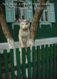 Все ушли, а он остался. 17 фото последнего жителя деревушки со 150-летней историей