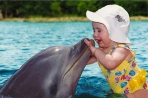 Дельфины особого назначения