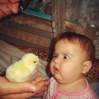 Фотоподборка за 09.12.2016