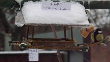 Кормушка для синиц с дозатором